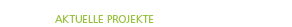 Aktuelle Projekte